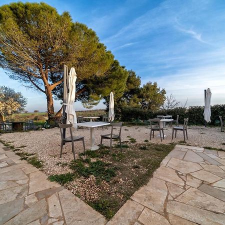 Agriturismo Tenuta Del Grillaio 阿夸维瓦德莱丰蒂 外观 照片