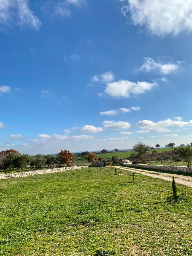 Agriturismo Tenuta Del Grillaio 阿夸维瓦德莱丰蒂 外观 照片