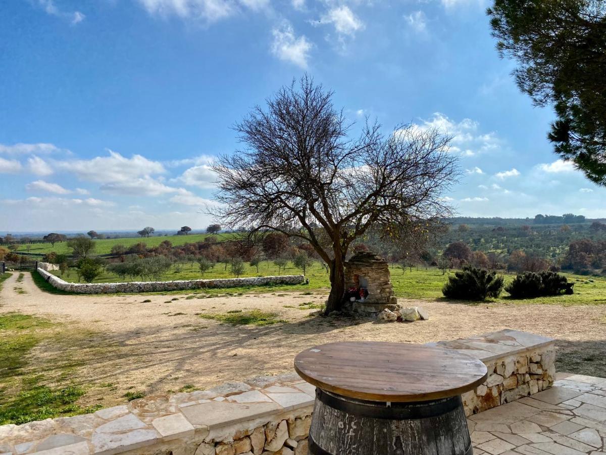 Agriturismo Tenuta Del Grillaio 阿夸维瓦德莱丰蒂 外观 照片
