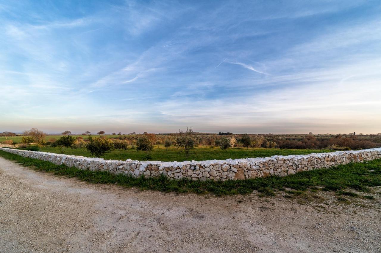 Agriturismo Tenuta Del Grillaio 阿夸维瓦德莱丰蒂 外观 照片