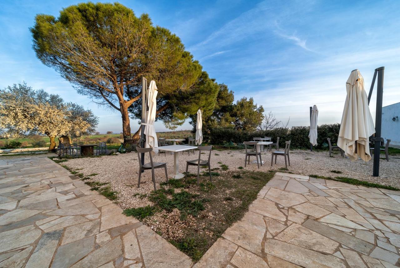 Agriturismo Tenuta Del Grillaio 阿夸维瓦德莱丰蒂 外观 照片
