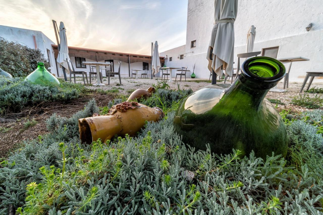 Agriturismo Tenuta Del Grillaio 阿夸维瓦德莱丰蒂 外观 照片